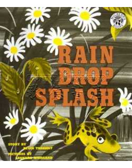 Rain Drop Splash