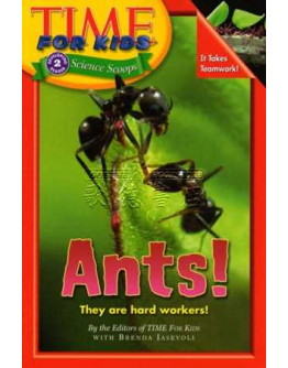 Time For Kids: Ants!