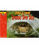 Spiders Spin Silk