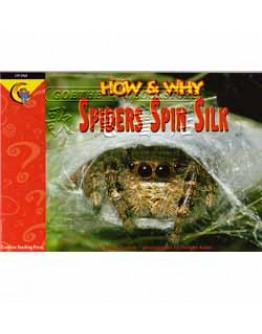 Spiders Spin Silk