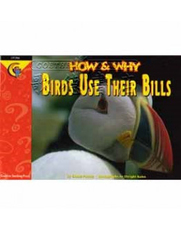 Birds Use Their Bills