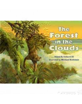 The Forest In The Clouds