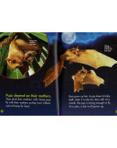 Time For Kids: Bats! Discover The Mysterious World Of These Flying Mammals!