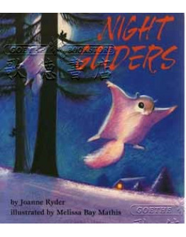 Night Gliders