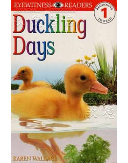 Duckling Days