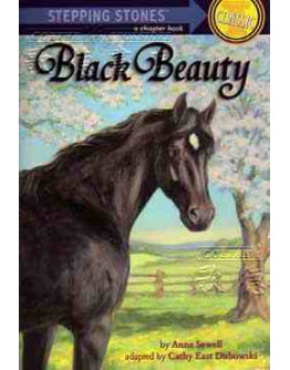 Black Beauty 黑神駒