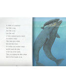 Whales: The Gentle Giants (A Science Reader)