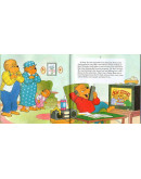 The Berenstain Bears And The Homework Hassle