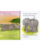 Elephants (w/ CD)