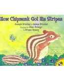 How Chipmunk Got His Stripes