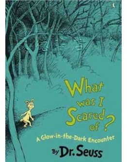 What Was I Scared Of?: A Glow-in-the Dark Encounter