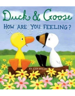 Duck & Goose - How Are You Feeling?