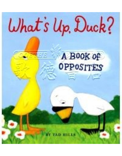 Duck & Goose - What’s Up, Duck? - A Book Of Opposites