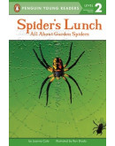 Spider’s Lunch- All About Garden Spiders