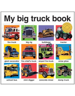 My Big Truck Book (認知小百科)