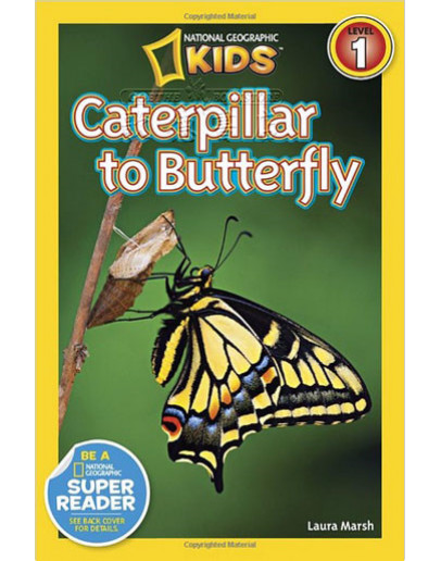 National Geographic Readers: Caterpillar To Butterfly