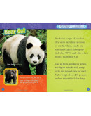 National Geographic Readers: Pandas