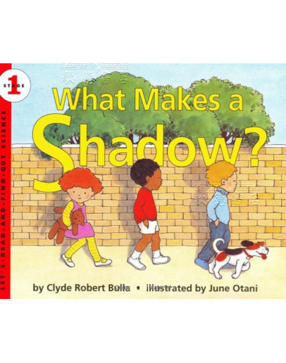 What Makes A Shadow?