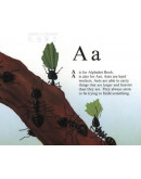 The Icky Bug Alphabet Book