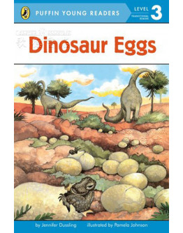 Dinosaur Eggs