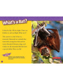 National Geographic Readers: Bats