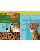 National Geographic Readers: Cheetahs