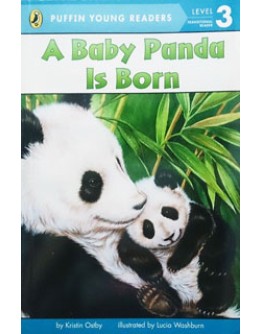 A Baby Panda Is Born