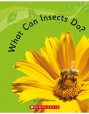 What Can Insects Do? (for School)