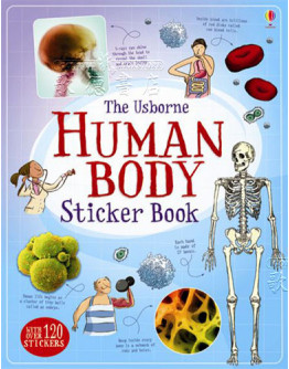 Human Body Sticker Book