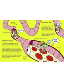 The Circulatory Story