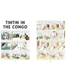 Tintin In The Congo (丁丁在剛果) (英文版)