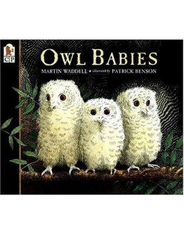 Owl Babies