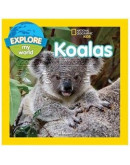 Explore My World Koalas