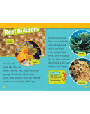 National Geographic Readers: Coral Reefs