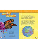 National Geographic Readers: Great Migrations Butterflies