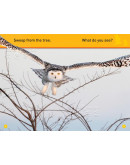 National Geographic Readers: Hoot, Owl!