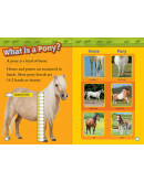 National Geographic Readers: Ponies