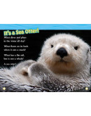 National Geographic Readers: Sea Otters