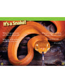 National Geographic Readers: Snakes