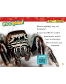 National Geographic Readers: Spiders