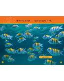 National Geographic Readers: Swim Fish! Explore The Coral Reef