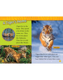 National Geographic Readers: Tigers