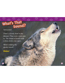 National Geographic Readers: Wolves