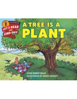 A Tree Is A Plant