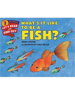 What’s It Like To Be A Fish?