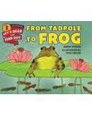 From Tadpole To Frog