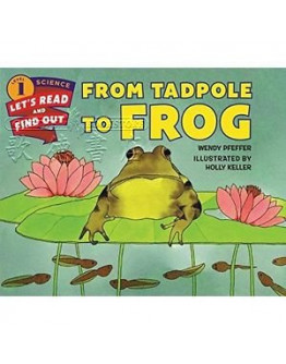 From Tadpole To Frog