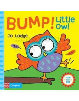 Bump! Little Owl