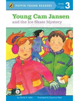 Young Cam Jansen And The Ice Skate Mystery