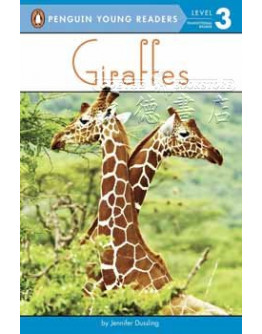 Giraffes